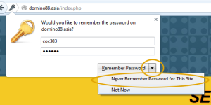 no-remember-pass-dm